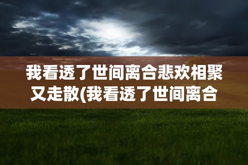 我看透了世间离合悲欢相聚又走散(我看透了世间离合悲欢相聚又走散是什么歌)