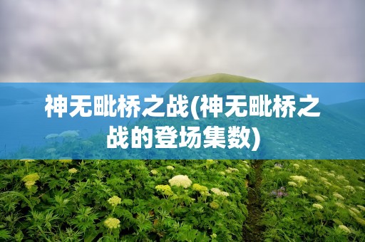神无毗桥之战(神无毗桥之战的登场集数)