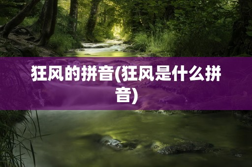 狂风的拼音(狂风是什么拼音)