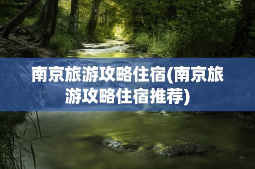 南京旅游攻略住宿(南京旅游攻略住宿推荐)