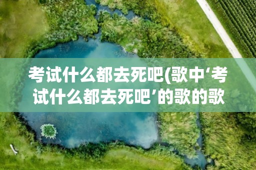 考试什么都去死吧(歌中‘考试什么都去死吧’的歌的歌名是什么)