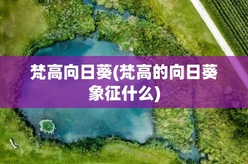 梵高向日葵(梵高的向日葵象征什么)