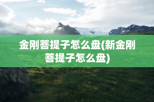 金刚菩提子怎么盘(新金刚菩提子怎么盘)