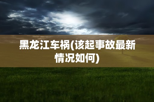 黑龙江车祸(该起事故最新情况如何)