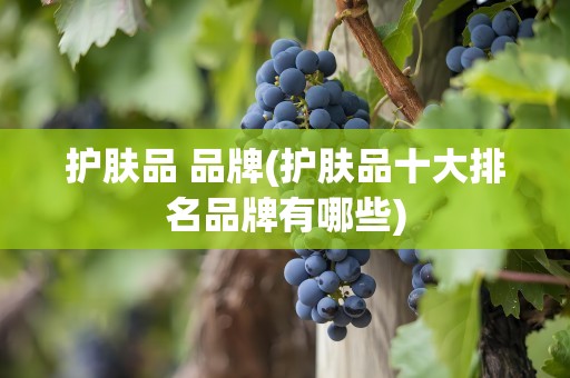 护肤品 品牌(护肤品十大排名品牌有哪些)