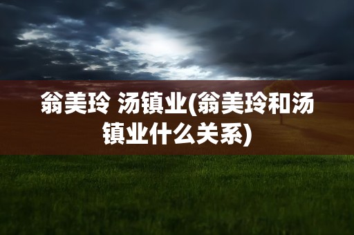 翁美玲 汤镇业(翁美玲和汤镇业什么关系)