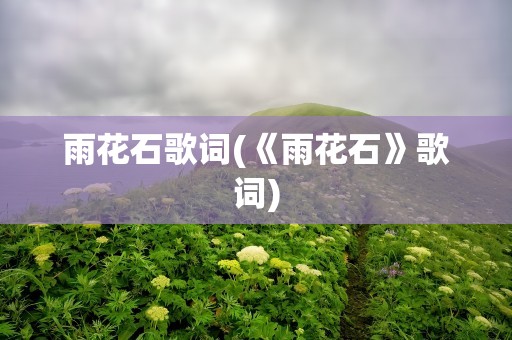 雨花石歌词(《雨花石》歌词)