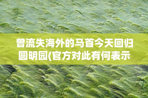 曾流失海外的马首今天回归圆明园(官方对此有何表示)