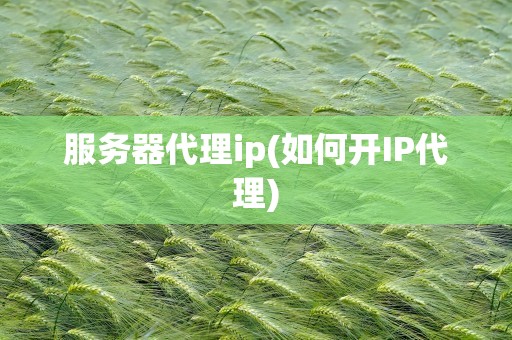 服务器代理ip(如何开IP代理)
