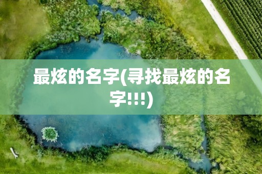 最炫的名字(寻找最炫的名字!!!)