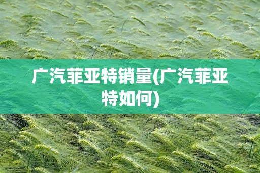 广汽菲亚特销量(广汽菲亚特如何)