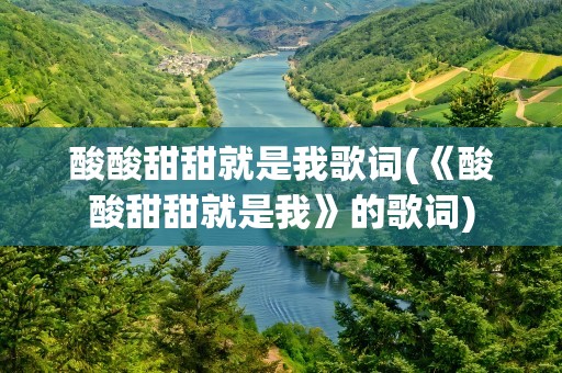 酸酸甜甜就是我歌词(《酸酸甜甜就是我》的歌词)