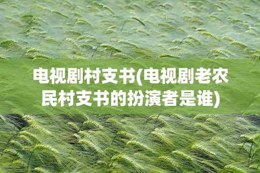 电视剧村支书(电视剧老农民村支书的扮演者是谁)