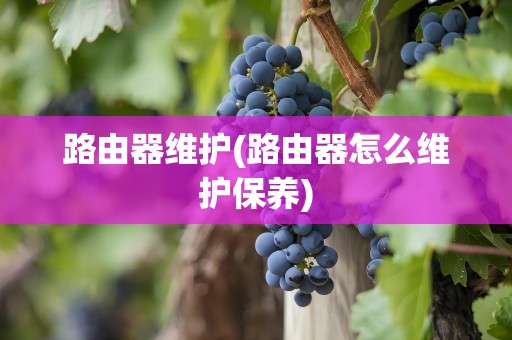 路由器维护(路由器怎么维护保养)