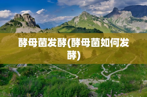 酵母菌发酵(酵母菌如何发酵)