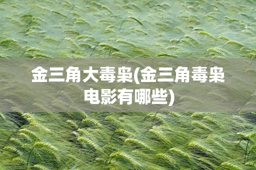 金三角大毒枭(金三角毒枭电影有哪些)