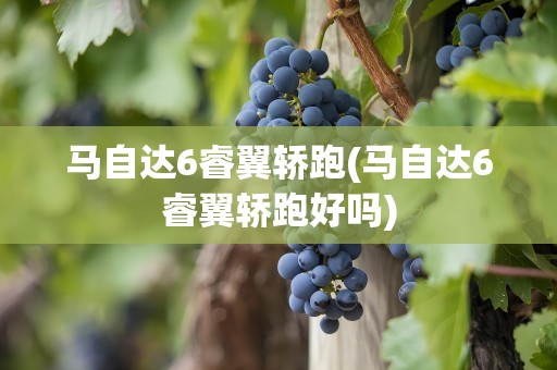 马自达6睿翼轿跑(马自达6睿翼轿跑好吗)