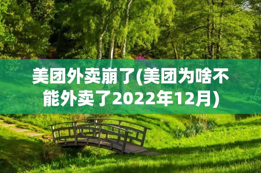 美团外卖崩了(美团为啥不能外卖了2022年12月)