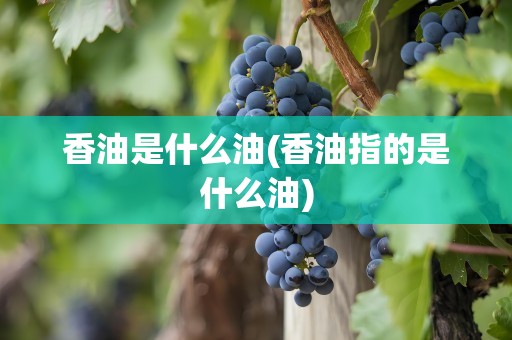 香油是什么油(香油指的是什么油)