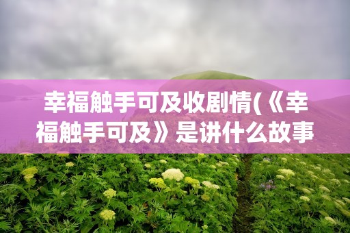 幸福触手可及收剧情(《幸福触手可及》是讲什么故事)