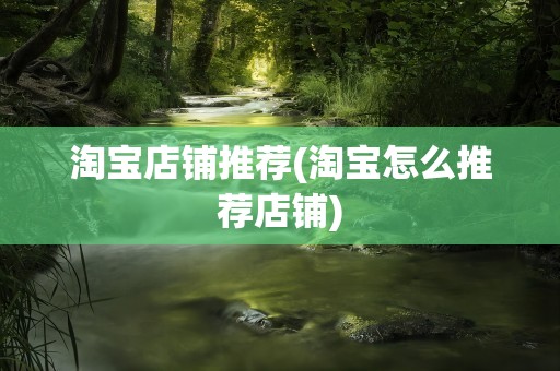 淘宝店铺推荐(淘宝怎么推荐店铺)