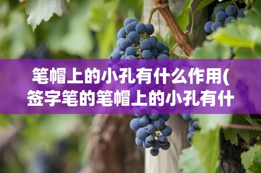 笔帽上的小孔有什么作用(签字笔的笔帽上的小孔有什么作用)