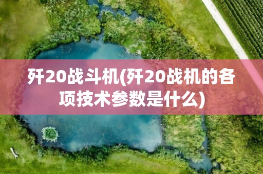 歼20战斗机(歼20战机的各项技术参数是什么)