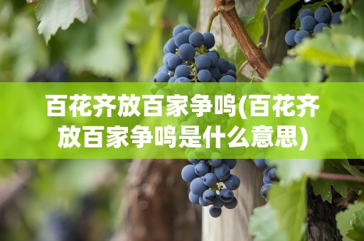 百花齐放百家争鸣(百花齐放百家争鸣是什么意思)