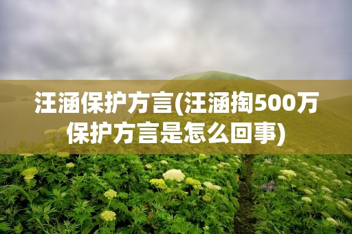 汪涵保护方言(汪涵掏500万保护方言是怎么回事)