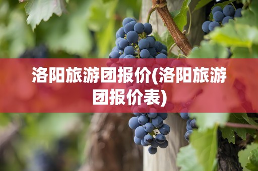 洛阳旅游团报价(洛阳旅游团报价表)