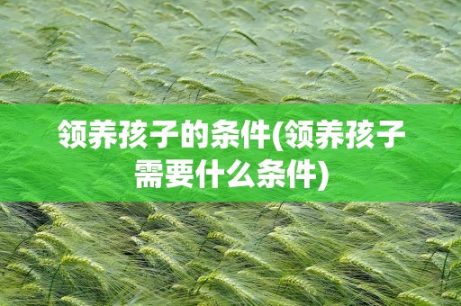 领养孩子的条件(领养孩子需要什么条件)