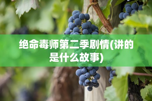 绝命毒师第二季剧情(讲的是什么故事)
