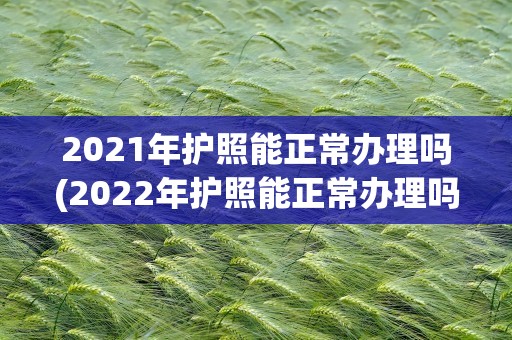 2021年护照能正常办理吗(2022年护照能正常办理吗)