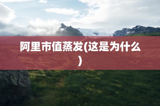 阿里市值蒸发(这是为什么)