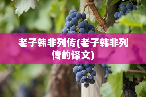 老子韩非列传(老子韩非列传的译文)