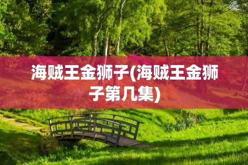 海贼王金狮子(海贼王金狮子第几集)