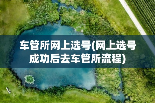 车管所网上选号(网上选号成功后去车管所流程)
