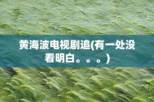 黄海波电视剧追(有一处没看明白。。。)