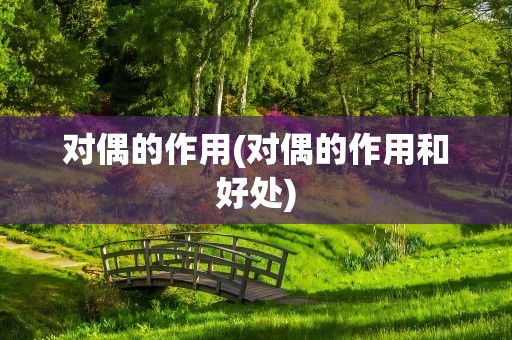 对偶的作用(对偶的作用和好处)