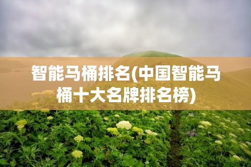智能马桶排名(中国智能马桶十大名牌排名榜)
