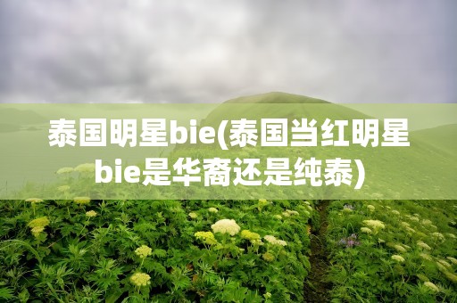 泰国明星bie(泰国当红明星bie是华裔还是纯泰)