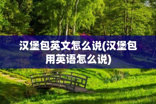 汉堡包英文怎么说(汉堡包用英语怎么说)