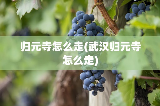 归元寺怎么走(武汉归元寺怎么走)