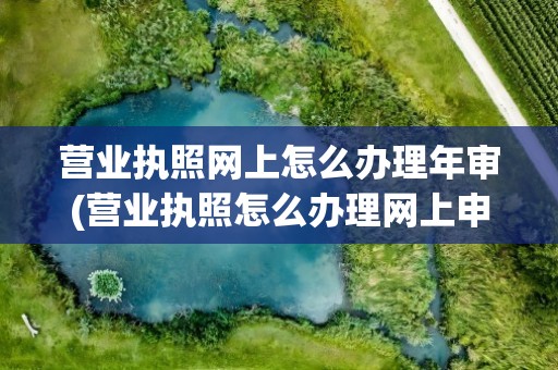 营业执照网上怎么办理年审(营业执照怎么办理网上申请年审)