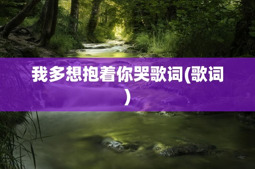 我多想抱着你哭歌词(歌词)