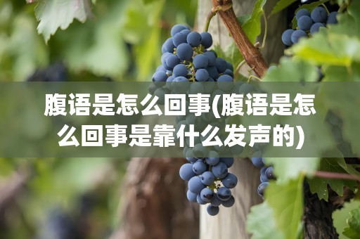 腹语是怎么回事(腹语是怎么回事是靠什么发声的)