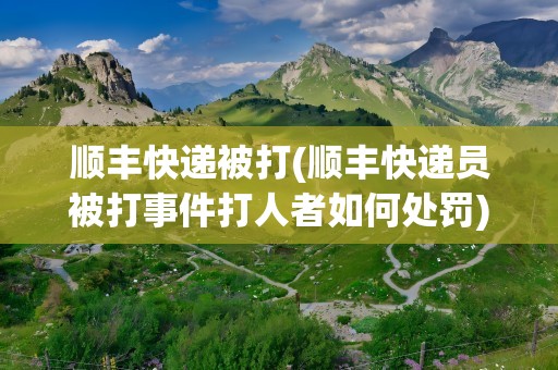 顺丰快递被打(顺丰快递员被打事件打人者如何处罚)