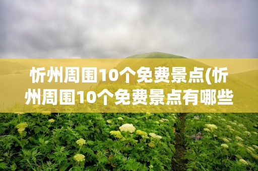 忻州周围10个免费景点(忻州周围10个免费景点有哪些)