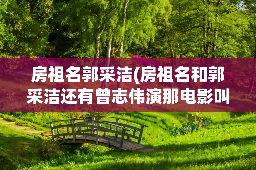 房祖名郭采洁(房祖名和郭采洁还有曾志伟演那电影叫啥名字)