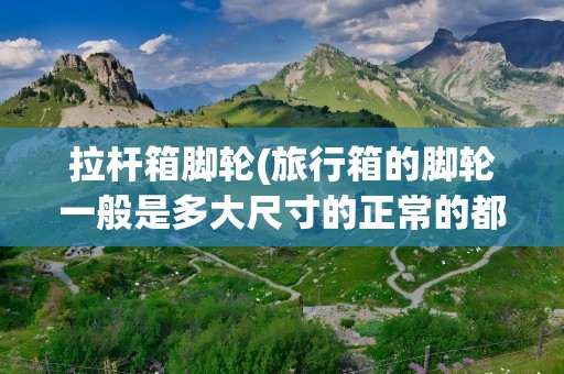 拉杆箱脚轮(旅行箱的脚轮一般是多大尺寸的正常的都是什么材质的呢)
